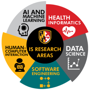 IS Research Areas